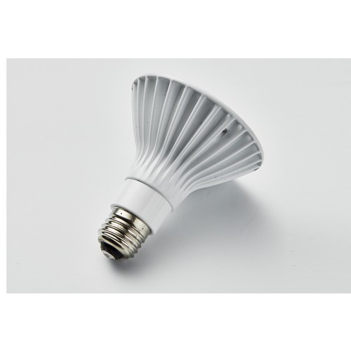 [번개표] LED 투광등 Par30 17W